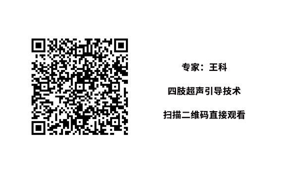专家：王科