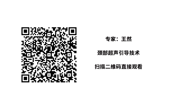 专家：王然