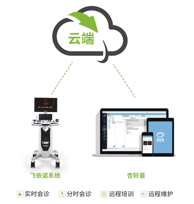 飞依诺远程解决方案