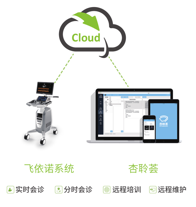 飞依诺远程解决方案