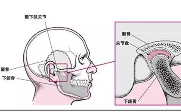 颞下颌关节