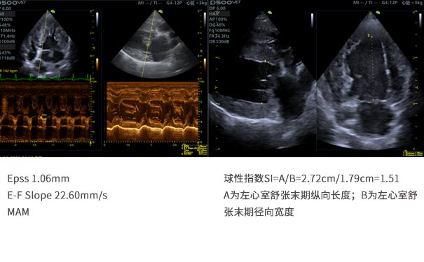 飞依诺兽用彩超诊断仪扫查图像