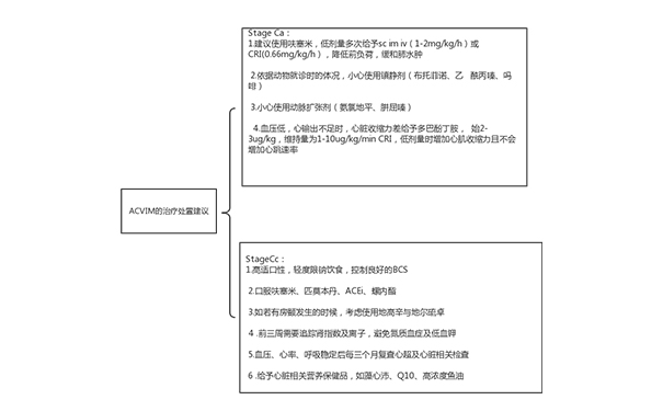 治疗处置建议