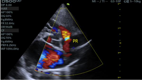 飞依诺兽用彩超|一例犬DMVD继发肺高压的诊断报告