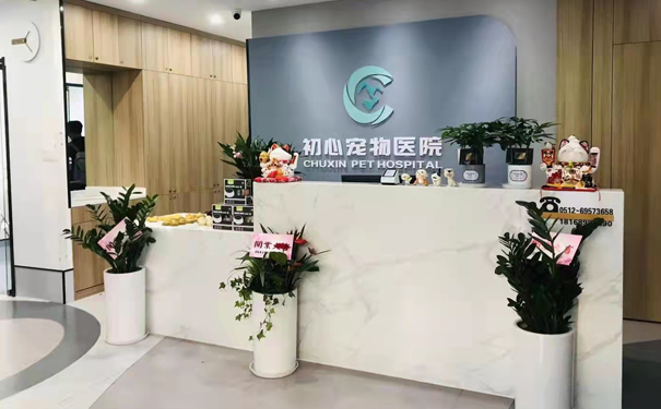 苏州初心宠物医院