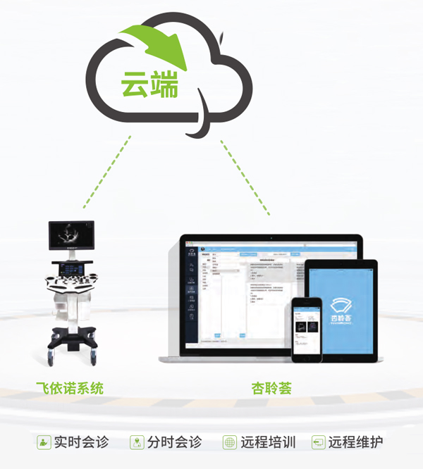 飞依诺远程解决方案