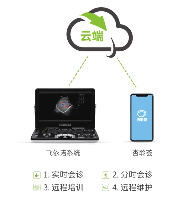 飞依诺远程解决方案