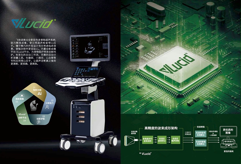 Vivet 300 2024-1118 - cn 小