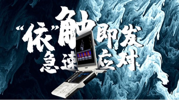 新冠“倒春寒”，基于重症超声的重症新冠肺炎解决方案