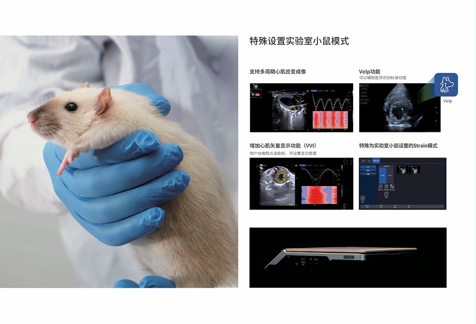 VINNO D10 LAB最新彩页3