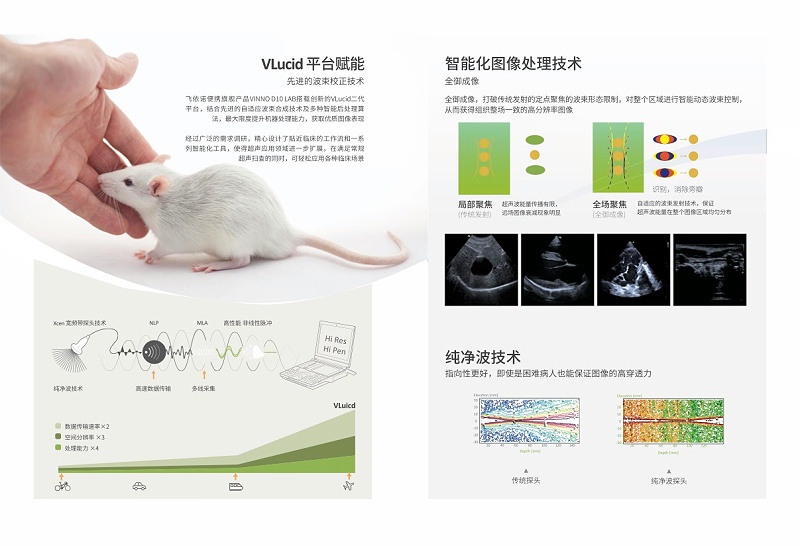 VINNO D10 LAB最新彩页