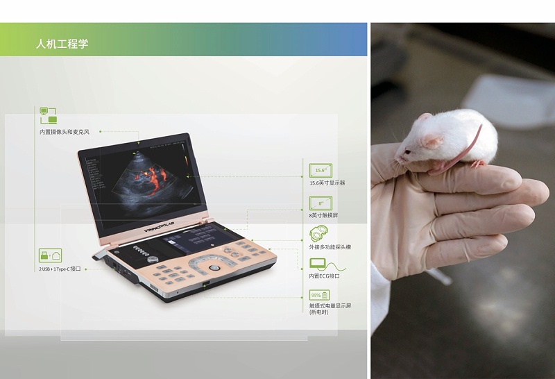 VINNO D10 LAB最新彩页2